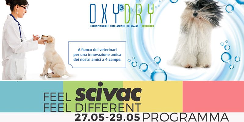 Congresso internazionale Scivac Rimini 2016