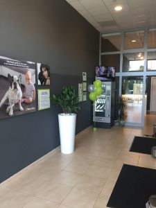 Wash Dog Sarzana - inaugurazione 15 luglio