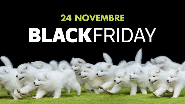 Promo Black Friday