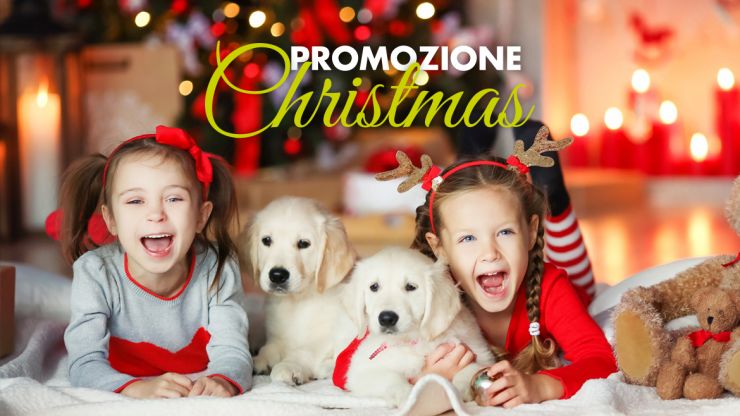 Promozione Christmas