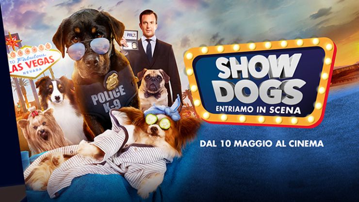 Un trattamento da star per il tuo cane!