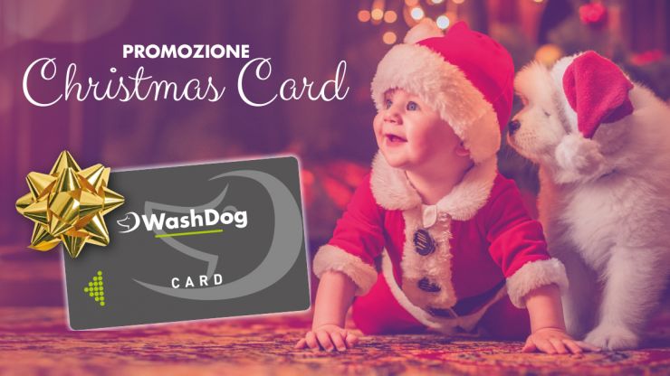 Promozione Christmas Card 2019