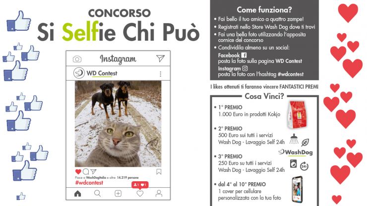 Concorso Si Selfie Chi Può