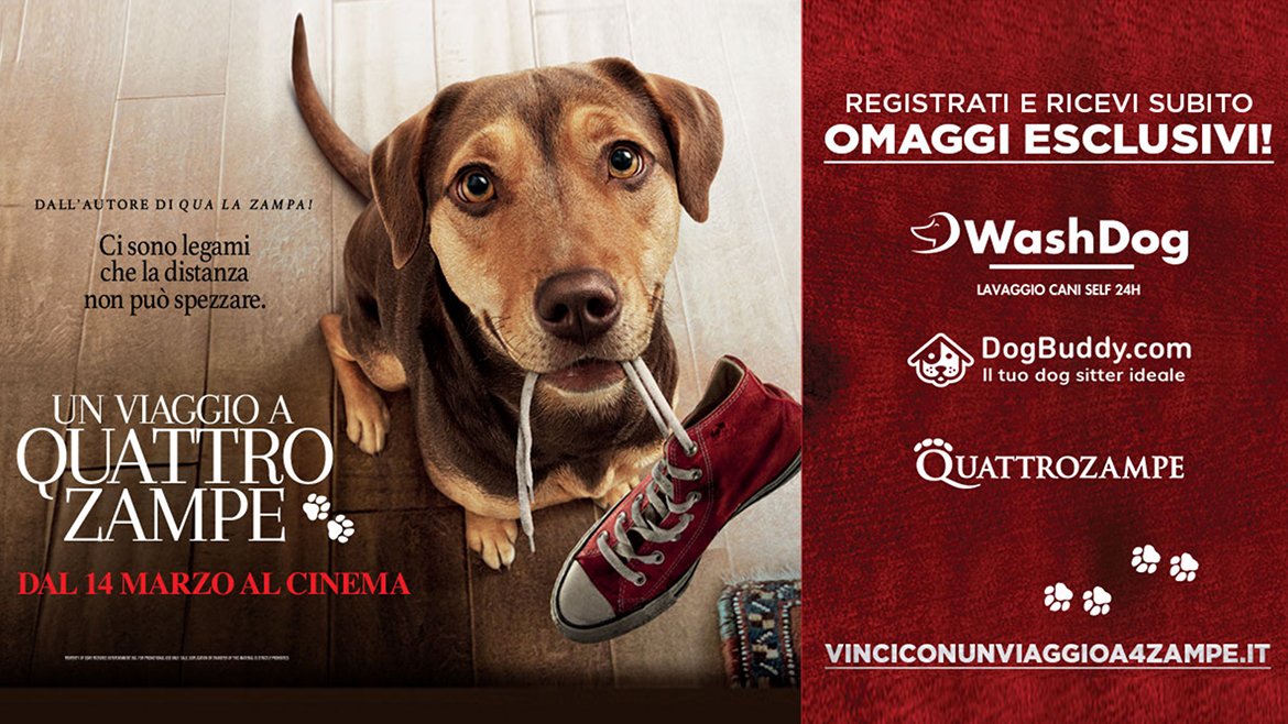 Un viaggio a quattro zampe - Wash Dog