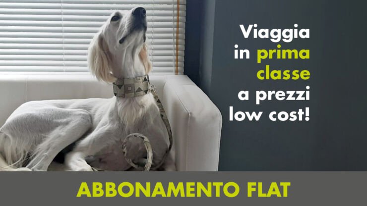 Abbonamento Flat – Viaggia in prima classe a prezzi low cost!