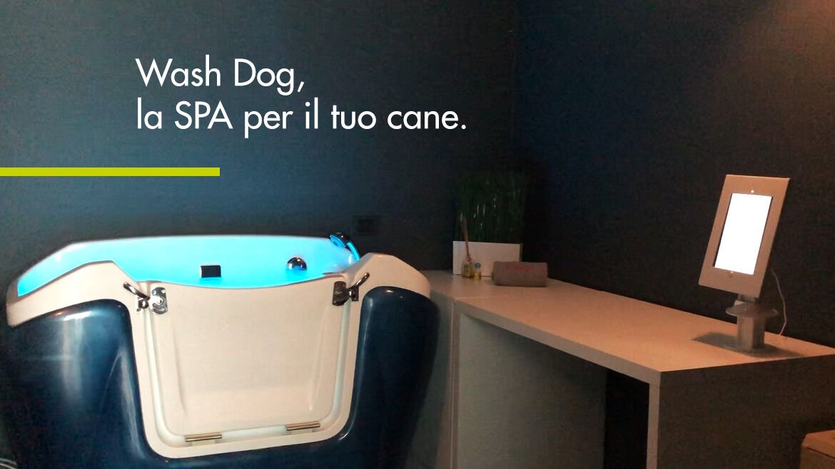 Il nostro servizio SPA