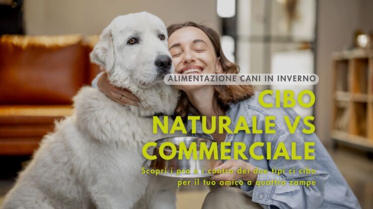 Alimentazione per Cani in Inverno: cibo naturale vs commerciale