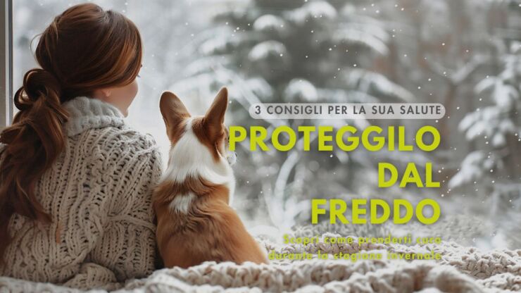 I cani sentono freddo: consigli su come proteggerlo in inverno