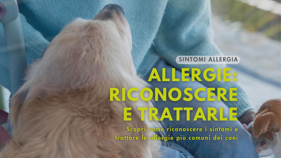 Sintomi Allergia Cani: come riconoscerli e trattarli